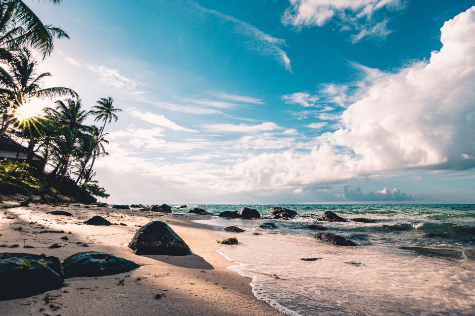 Strand, Palmen und Meer? Ein Praktikum im Ausland