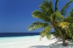 Duales Studium Tourismuswirtschaft.