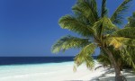 Duales Studium Tourismuswirtschaft.