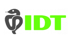 IDT Logo